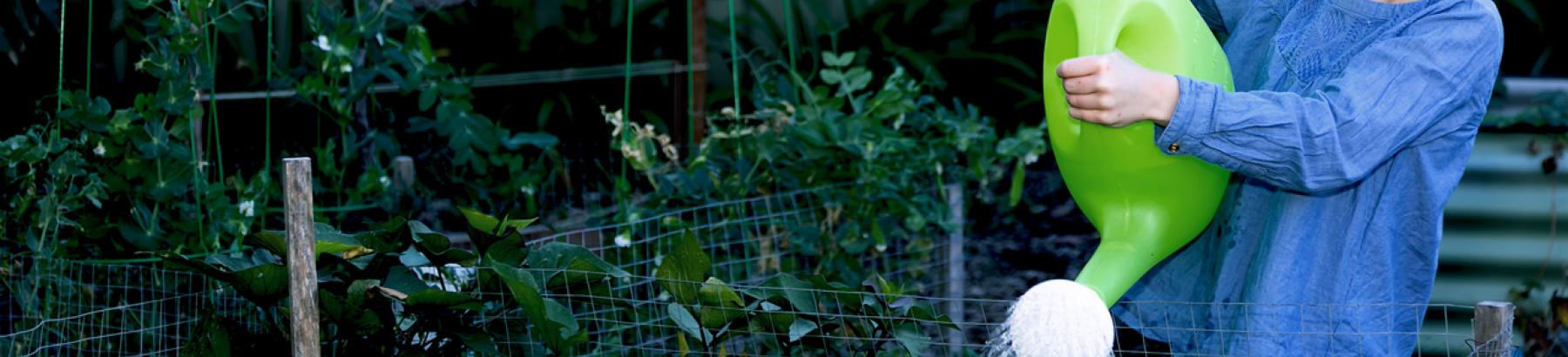 Save Water Garden