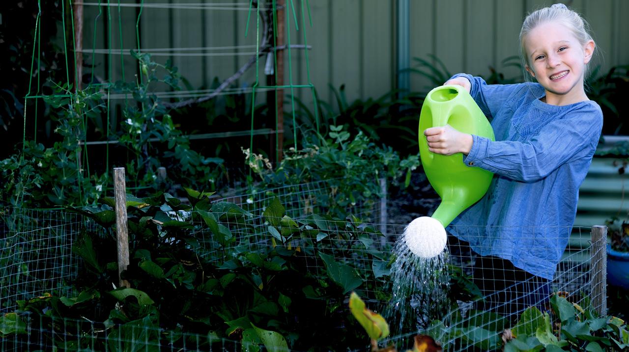 Save Water Garden